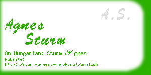 agnes sturm business card